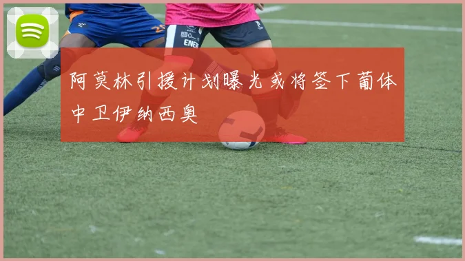 阿莫林引援计划曝光或将签下葡体中卫伊纳西奥