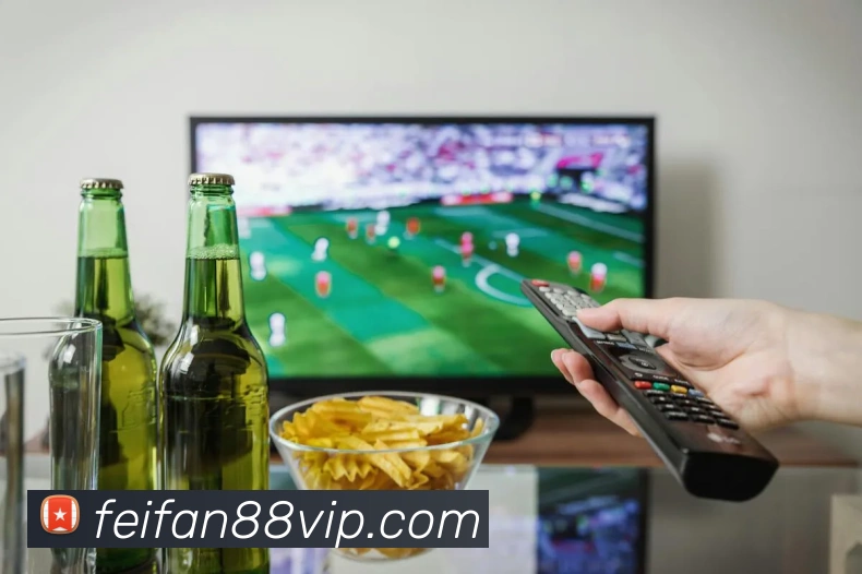 非凡体育平台生态图